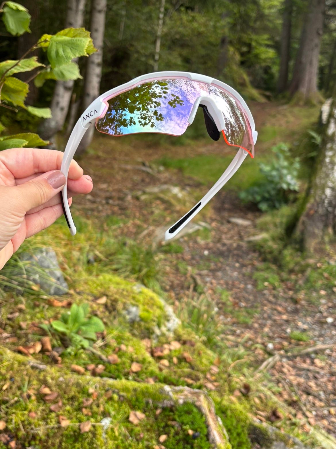 ANCA Horizon | Aurora