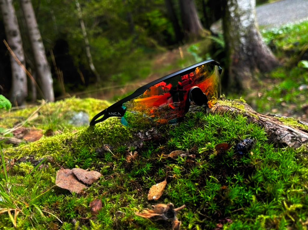 ANCA Horizon | Phoenix