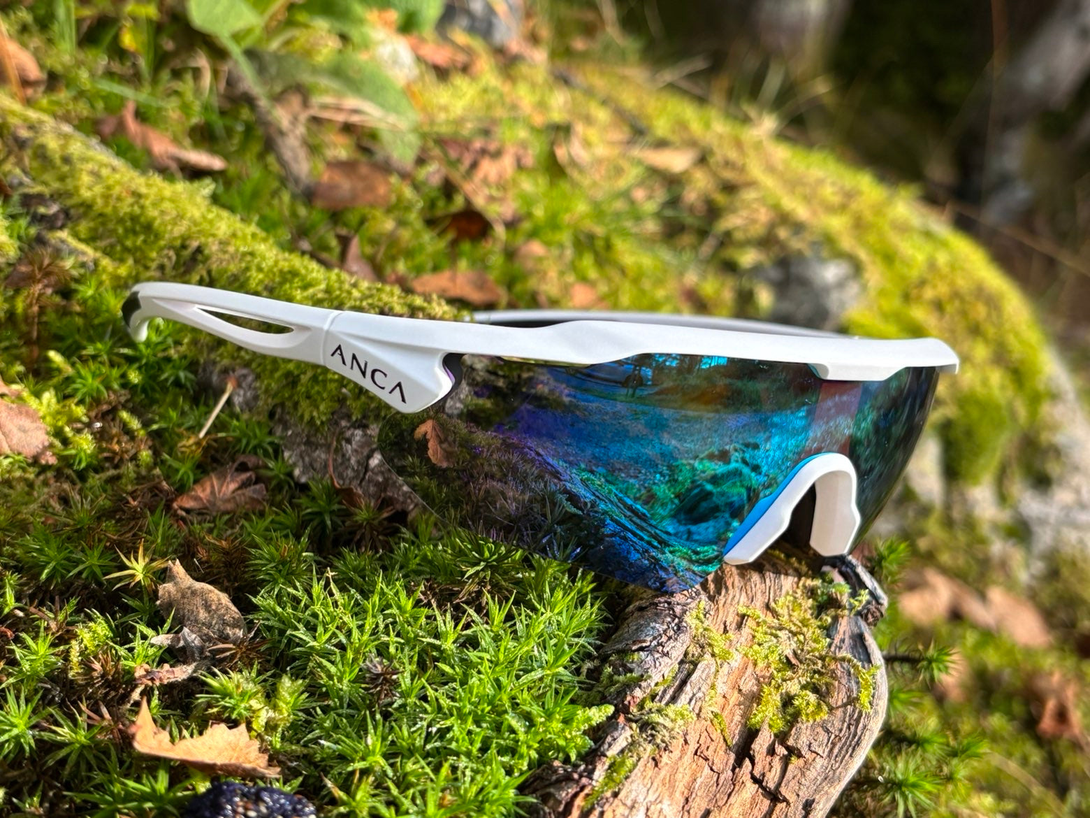 ANCA Horizon | Frost